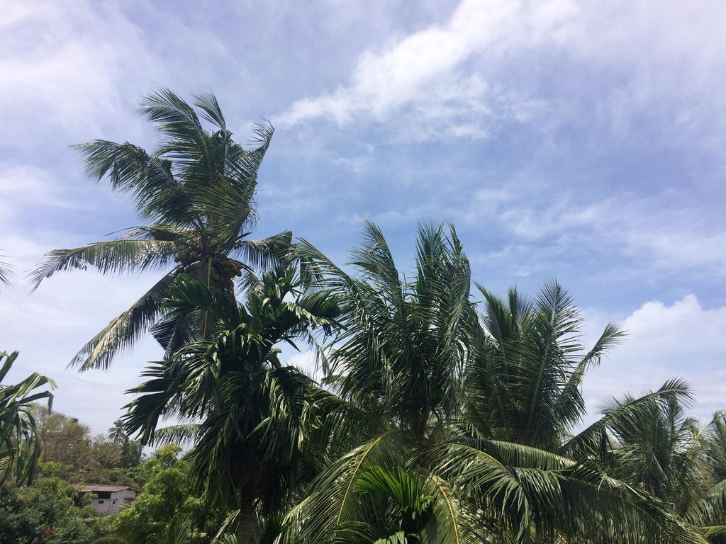 Hansa Villa Unawatuna Esterno foto